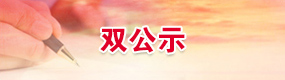 雙公示