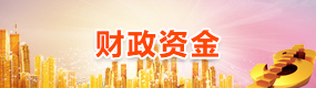政府信息公開三公經(jīng)費