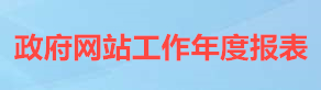 政府網(wǎng)站工作年度報表