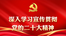 深入學(xué)習(xí)宣傳貫徹黨的二十大精神