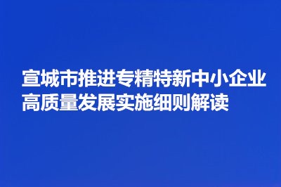 《宣城市推進專精特新中小企業(yè)高質(zhì)量發(fā)展實施細則》解讀