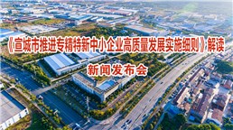 《宣城市推進專精特新中小企業(yè)高質(zhì)量發(fā)展實施細則》解讀新聞發(fā)布會
