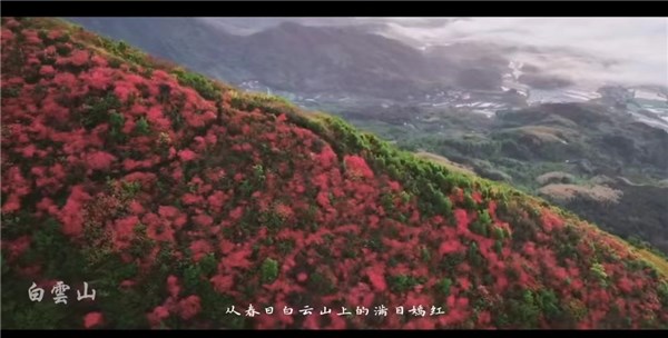 縣長推介旌德